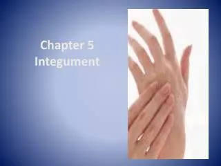 Chapter 5 Integument