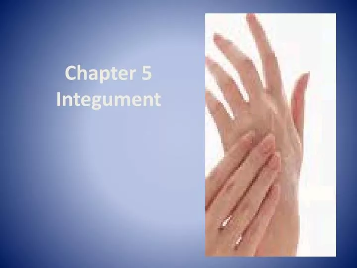 chapter 5 integument