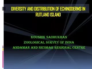 DIVERSITY AND DISTRIBUTION OF ECHINODERMS IN RUTLAND ISLAND