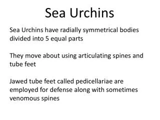 Sea Urchins have radially symmetrical bodies divided into 5 equal parts