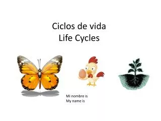Ciclos de vida Life Cycles