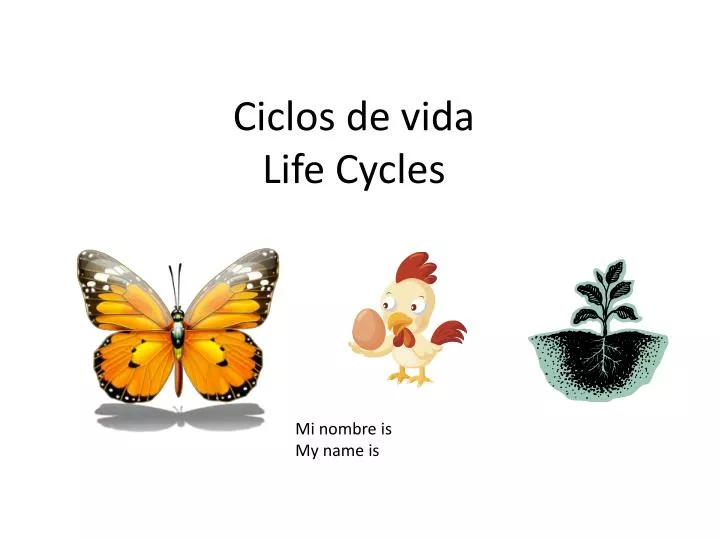 ciclos de vida life cycles