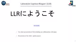 Laboratoire Leprince-Ringuet (LLR) -------------------------------------------------