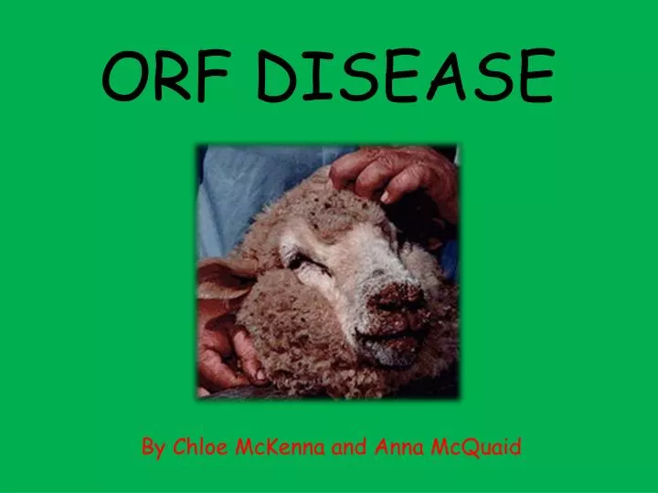 orf disease