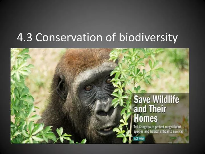 4 3 conservation of biodiversity