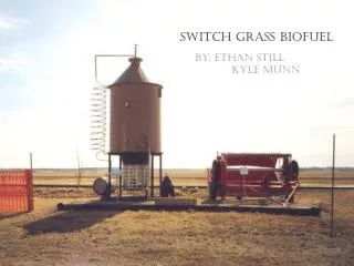 Switch grass Biofuel