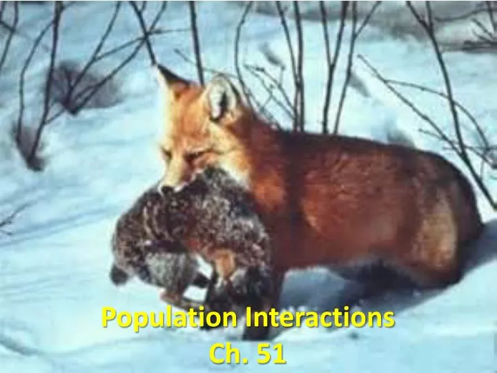 population interactions ch 51