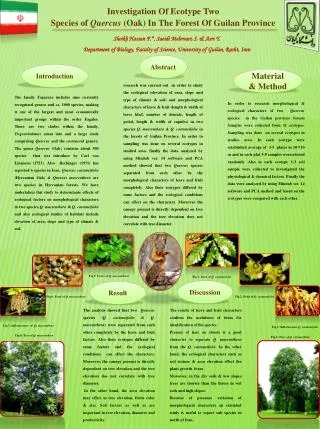 Investigation Of Ecotype Two Species of Quercus (Oak) In The Forest Of Guilan Province