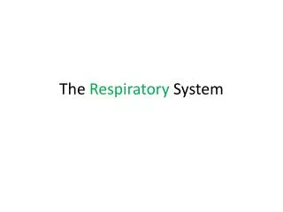 The Respiratory System