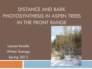 Distance and Bark Photosynthesis In Aspen Trees In The Front Range