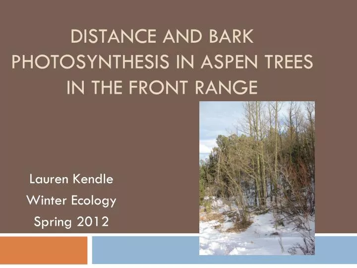 distance and bark photosynthesis in aspen trees in the front range