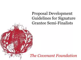 Proposal Development Guidelines for Signature Grantee Semi-Finalists
