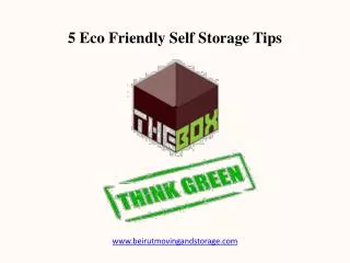 5 Eco Friendly Beirut Self Storage Tips