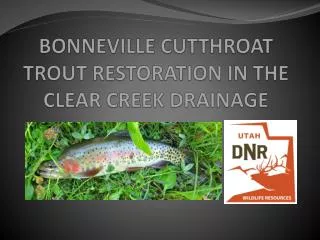 BONNEVILLE CUTTHROAT TROUT RESTORATION IN THE CLEAR CREEK DRAINAGE