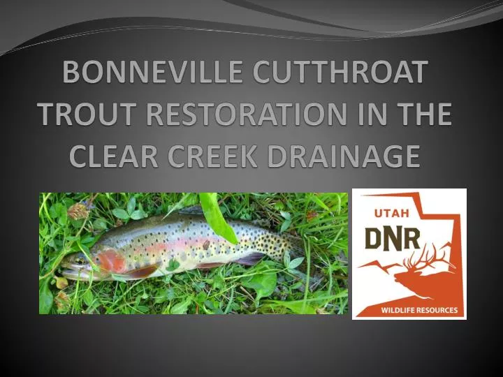 bonneville cutthroat trout restoration in the clear creek drainage
