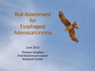 Risk Assessment for Esophageal Adenocarcinoma