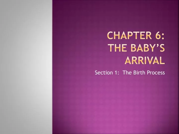 chapter 6 the baby s arrival