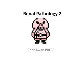 Renal Pathology 2