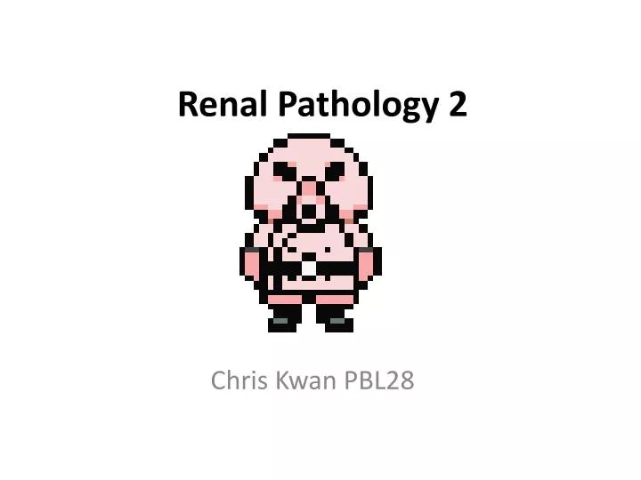 renal pathology 2