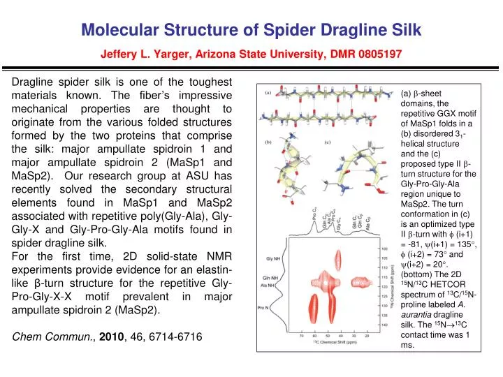 molecular structure of spider dragline silk jeffery l yarger arizona state university dmr 0805197
