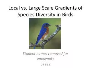 Local vs. Large Scale Gradients of Species Diversity in Birds