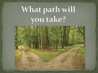 What path will you take?