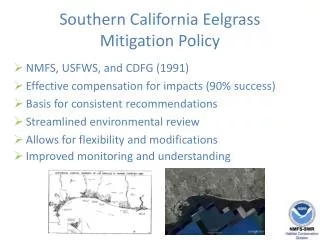 Southern California Eelgrass Mitigation Policy