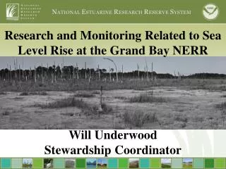 Research and Monitoring Related to Sea Level Rise at the Grand Bay NERR