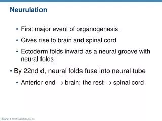 Neurulation