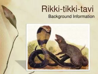 Rikki-tikki-tavi