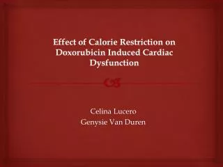 Effect of Calorie Restriction on Doxorubicin Induced Cardiac Dysfunction