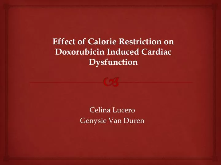 effect of calorie restriction on doxorubicin induced cardiac dysfunction