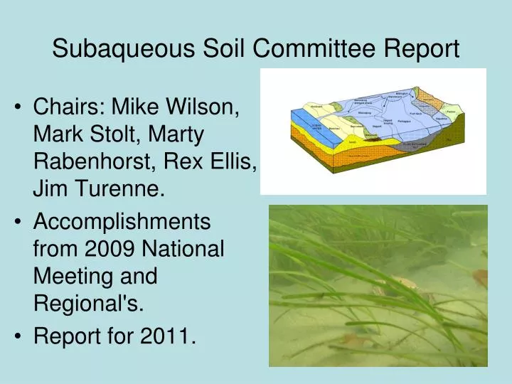 subaqueous soil committee report