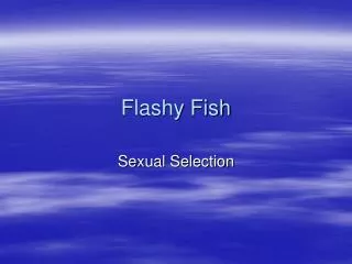 Flashy Fish