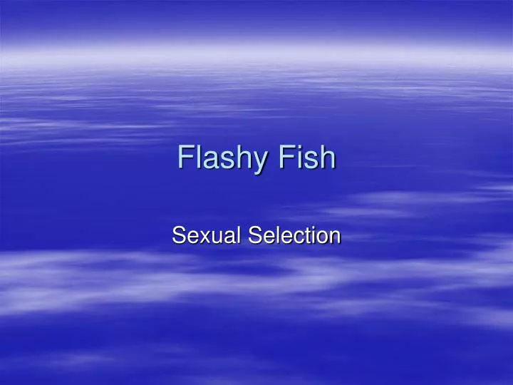 flashy fish