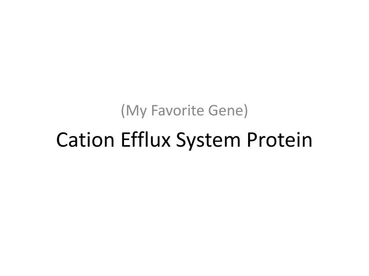 cation efflux system protein