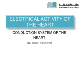 Electrical Activity of The HEART