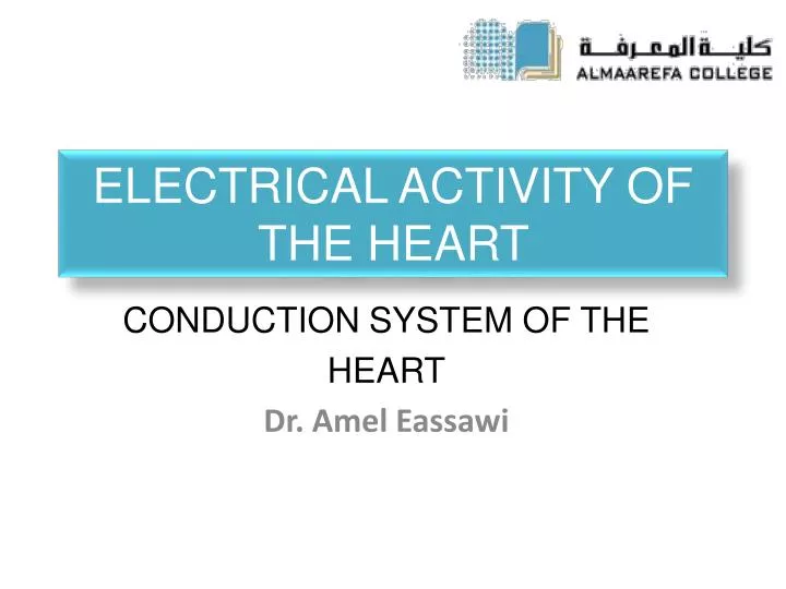 electrical activity of the heart