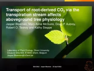 Transport of root-derived CO 2 via the transpiration stream affects aboveground tree physiology