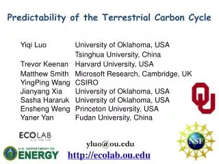Predictability of the Terrestrial Carbon Cycle