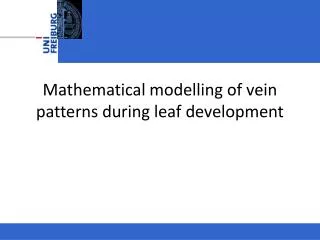 Mathematical modelling of vein patterns during leaf development