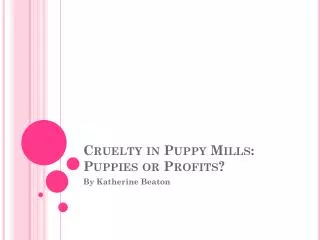 Cruelty in Puppy Mills: Puppies or Profits?