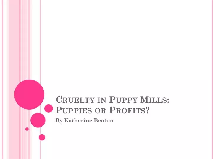 cruelty in puppy mills puppies or profits