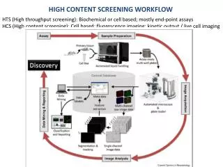 High content screening workflow