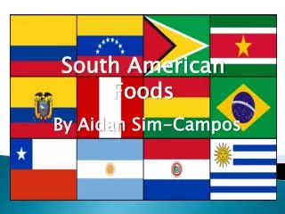 South American Foods