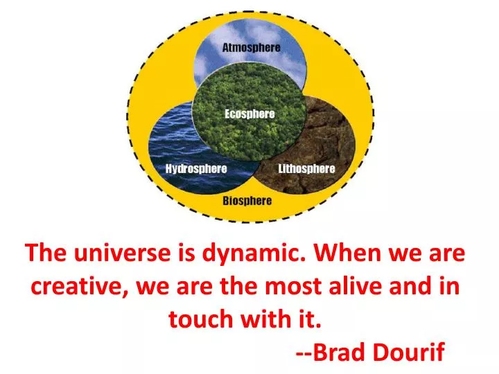 the universe is dynamic when we are creative we are the most alive and in touch with it brad dourif