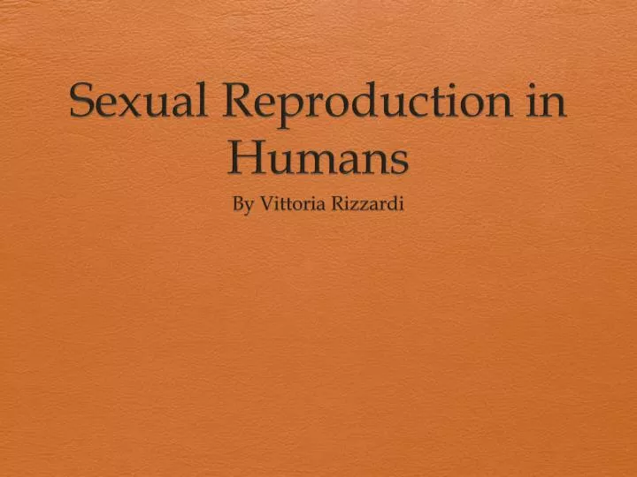 sexual reproduction in humans