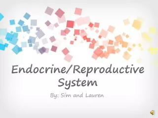 Endocrine/Reproductive System