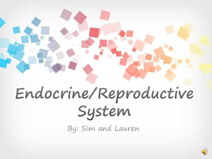 endocrine reproductive system