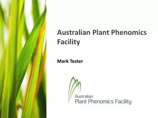 Australian Plant Phenomics Facility Mark Tester